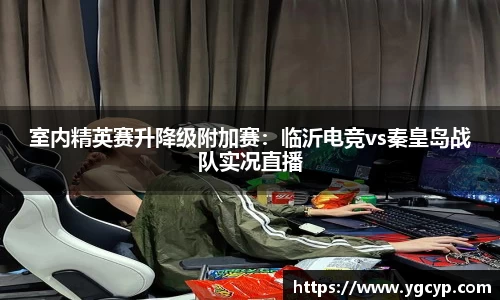 室内精英赛升降级附加赛：临沂电竞vs秦皇岛战队实况直播